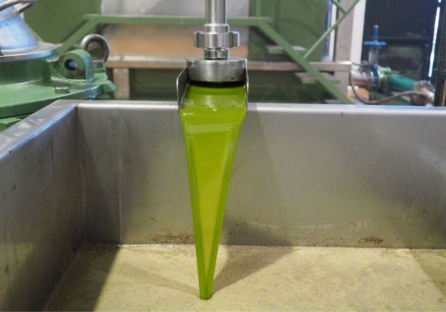 La producción de aceite de oliva en España y en el mundo